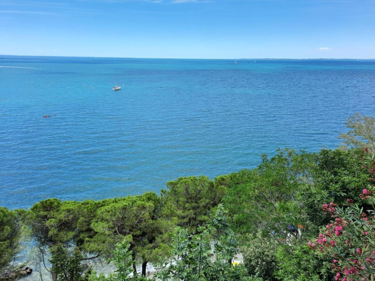 Agriturismo Ai Tre Sentieri เอาริซีนา ภายนอก รูปภาพ