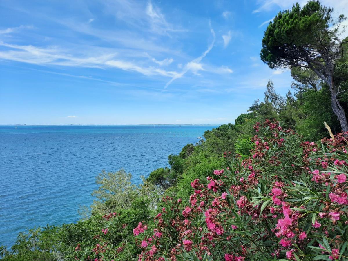 Agriturismo Ai Tre Sentieri เอาริซีนา ภายนอก รูปภาพ