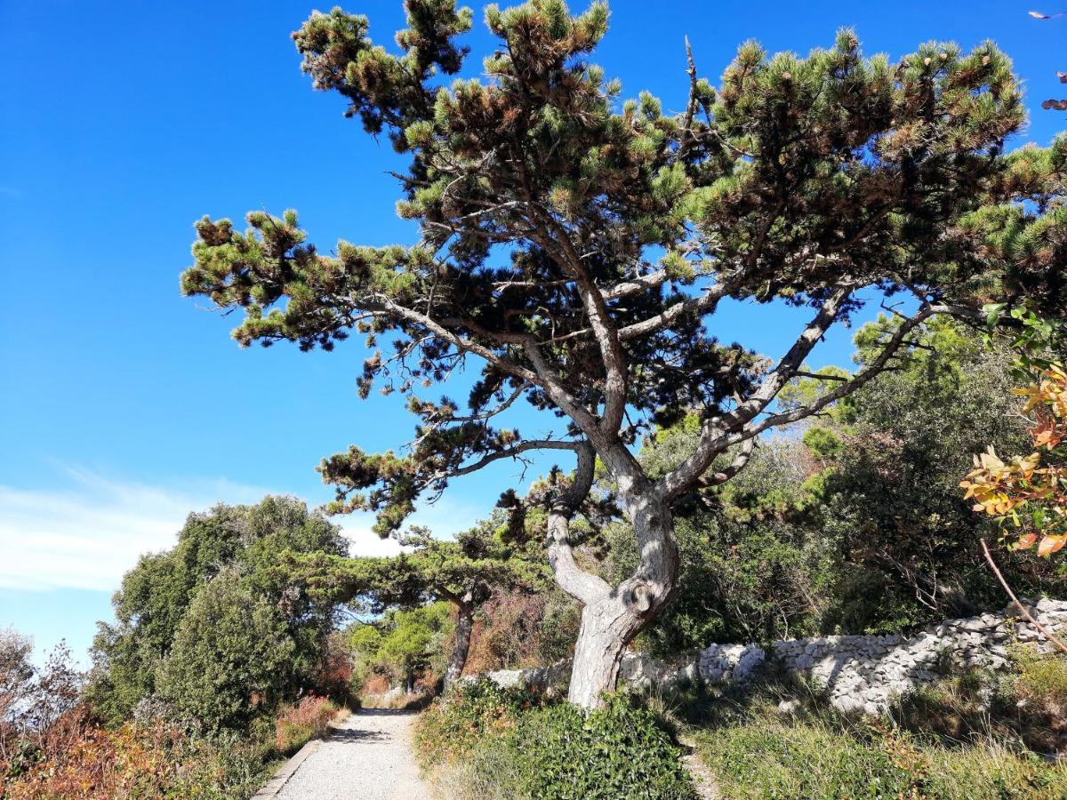 Agriturismo Ai Tre Sentieri เอาริซีนา ภายนอก รูปภาพ